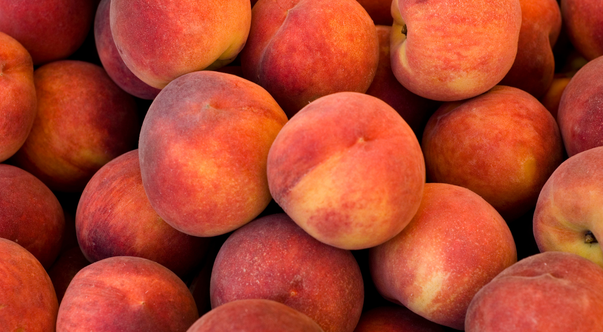 Fresh Local Produce in Texas